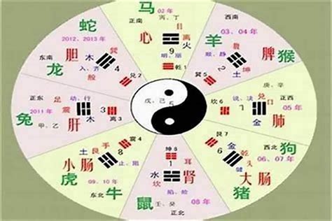 言字五行|言字的五行是什么,言的五行属性及吉利寓意